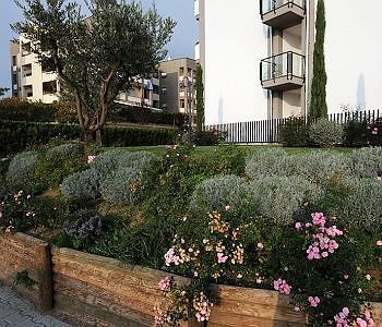 Residence Lorenzo Da 비테르보 외부 사진